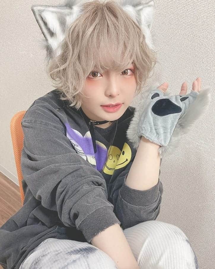 のインスタグラム：「#猫の日 #にゃんにゃんにゃんの日」