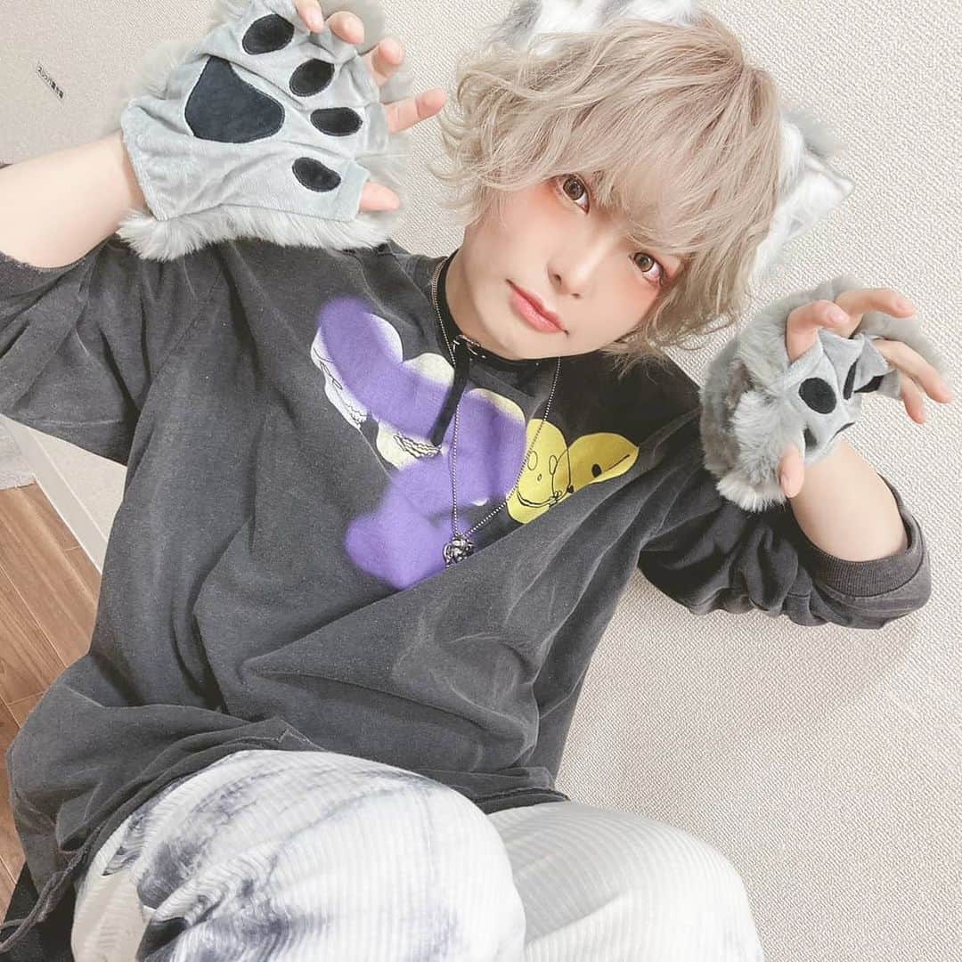 のインスタグラム：「#猫の日 #にゃんにゃんにゃんの日」