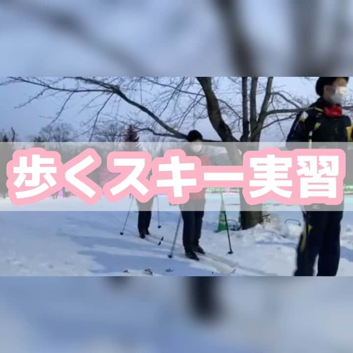 北海道メディカル・スポーツ専門学校のインスタグラム：「歩くスキー実習　体験レポート🎿 運営サポートの最後に体験させていただきました！  イルミネーションラン✨ とっても綺麗でした😊  在学中からスポーツを支える！ 楽しかったみたいです♪ 転んだ女子たち🙋‍♀️（笑） お疲れさまでした！  #メディスポ #ハイテク #北海道ハイテクノロジー専門学校 #クロスカントリー #歩くスキー #中島公園 #クロカン #ウインタースポーツ #運動 #健康 #スポーツを支える #専門学校 #スポーツトレーナー学科 #アスレティックトレーナー #パーソナルトレーナー」