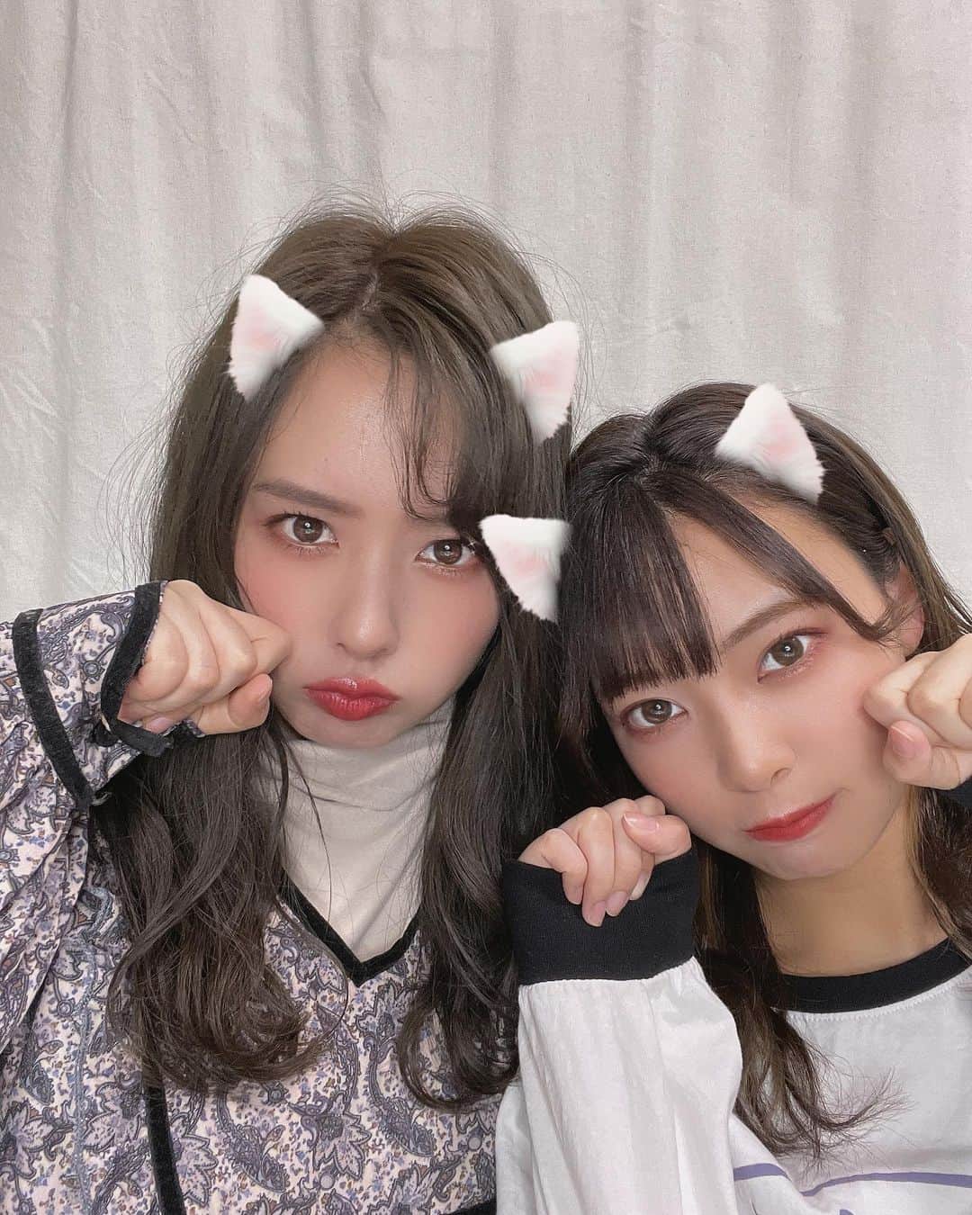 山田寿々のインスタグラム：「にゃ😼　 #山田姉妹 #猫の日」