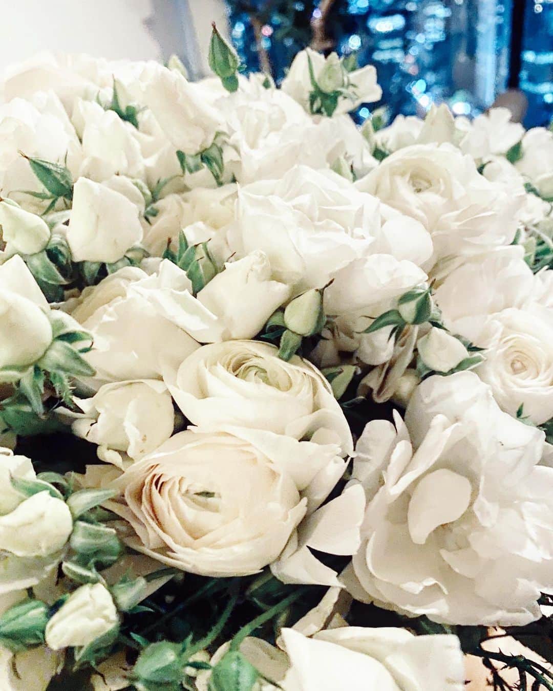 のインスタグラム：「. #2月22日　#aniversary  #surprise #frommyfriend」