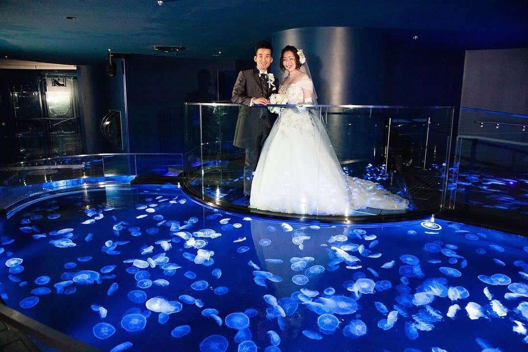 ホテルイースト21東京ウェディング公式のインスタグラム：「. 【すみだ水族館×ホテル イースト21東京】  とっておきのフォトウエディングを📷💕 夜のすみだ水族館を贅沢に貸切！  --- #ホテルイースト21東京  #ホテルイースト21  #ホテル婚  #フォトウエディング  #ウエディング写真  #ブライダルフォト  #ウエディング  #ブライダル  #結婚式準備  #前撮り  #後撮り  #アクアリウムフォト #wedding #aqarium #hoteleast21tokyo #hoteleast21」