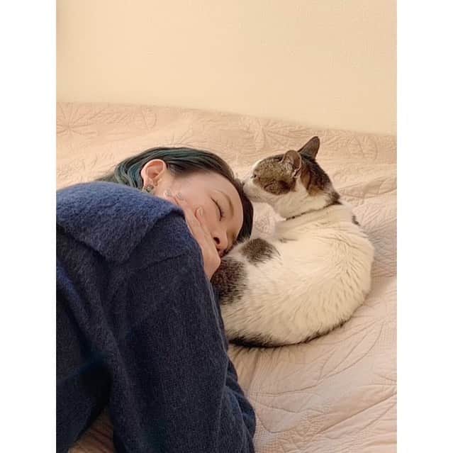 丹羽麻由美さんのインスタグラム写真 - (丹羽麻由美Instagram)「2021年2月22日🐈  🐈🐈🐈  慰めてもらってるみたいな瞬間。  癒しをありがとう🐈  #🐈 #222 #動物には好かれるようです」2月22日 15時46分 - mayumi912