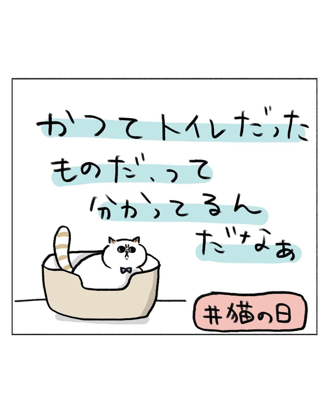 うえだしろこのインスタグラム：「砂も入ってないし、洗って日干しもしたから臭いもないはずなのに、 分かってるもんだなぁ。 まだ臭うのかなぁ。 ・ ・ ブログ更新してます⭐️ ・ 「猫の日だから、うちの猫らしくない猫の話する」 ・  ストーリーズからぜひみてね〜😍 ・ ・ #育児漫画 #育児日記 #育児絵日記 #コミックエッセイ #ライブドアインスタブロガー #猫の日」