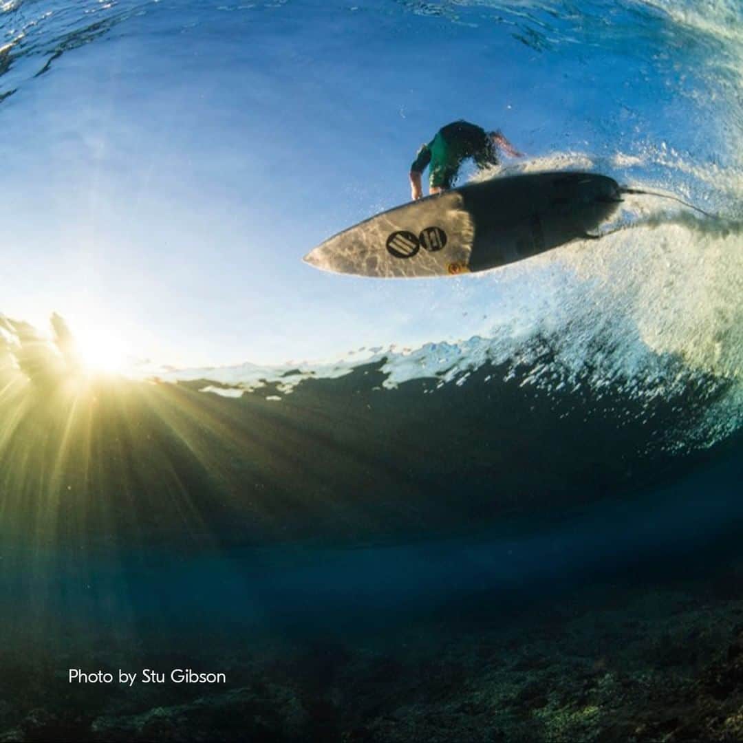 Nikon Australiaさんのインスタグラム写真 - (Nikon AustraliaInstagram)「Have you entered the 2021 Nikon Surf Photo and Video of the Year Awards yet?   You can enter up to three images and two videos captured anywhere in the world.  Get yours in before March 15th for a chance to win a Z 6II and NIKKOR Z 24-70mm f/4 S.   Enter now via the link in our bio.   #Nikon #MyNikonLife #NikonAustralia #NikonZ6II #NikonSurf #SurfPhotography #SurfVideo #OceanPhotography」2月22日 16時00分 - nikonaustralia