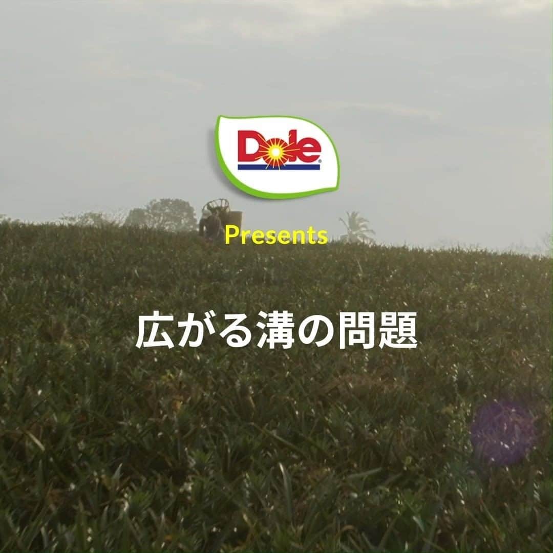 Dole_jp ドール ジャパンのインスタグラム