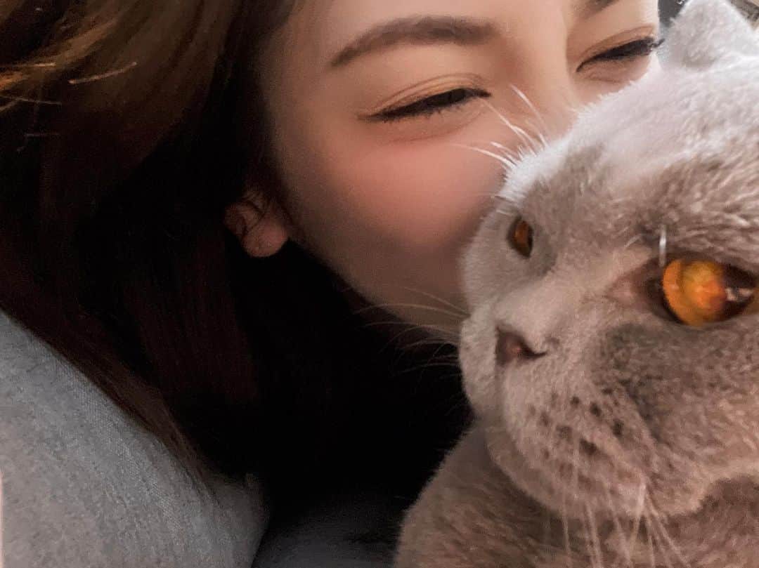 のインスタグラム：「. ふへへ💓 猫の日だね。 ちゅーるでもあげて 機嫌とるかな。 #猫の日 #猫のいる幸せ #ねこすたぐらむ」