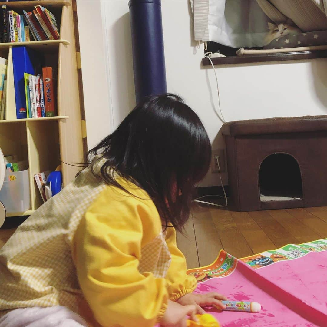 廣永遼太郎さんのインスタグラム写真 - (廣永遼太郎Instagram)「見守るルーちゃん☺️ #猫の日 #ねこの日 #サイベリアン #長毛種 #大型猫 #ねことあかちゃん #ねことこども #siberiancat  #catstagram  #instacat」2月22日 16時47分 - ryotaro.h_32