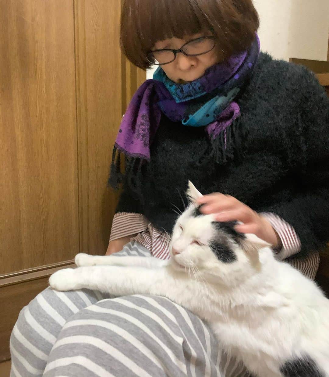 Kachimo Yoshimatsuさんのインスタグラム写真 - (Kachimo YoshimatsuInstagram)「猫の日蔵出し 去年のナナクロ もうほんと甘ったれ。 #うちの猫ら #猫 #nanakuro #猫の日 #ねこ #cat #ネコ #catstagram #ネコ部 http://kachimo.exblog.jp」2月22日 16時56分 - kachimo