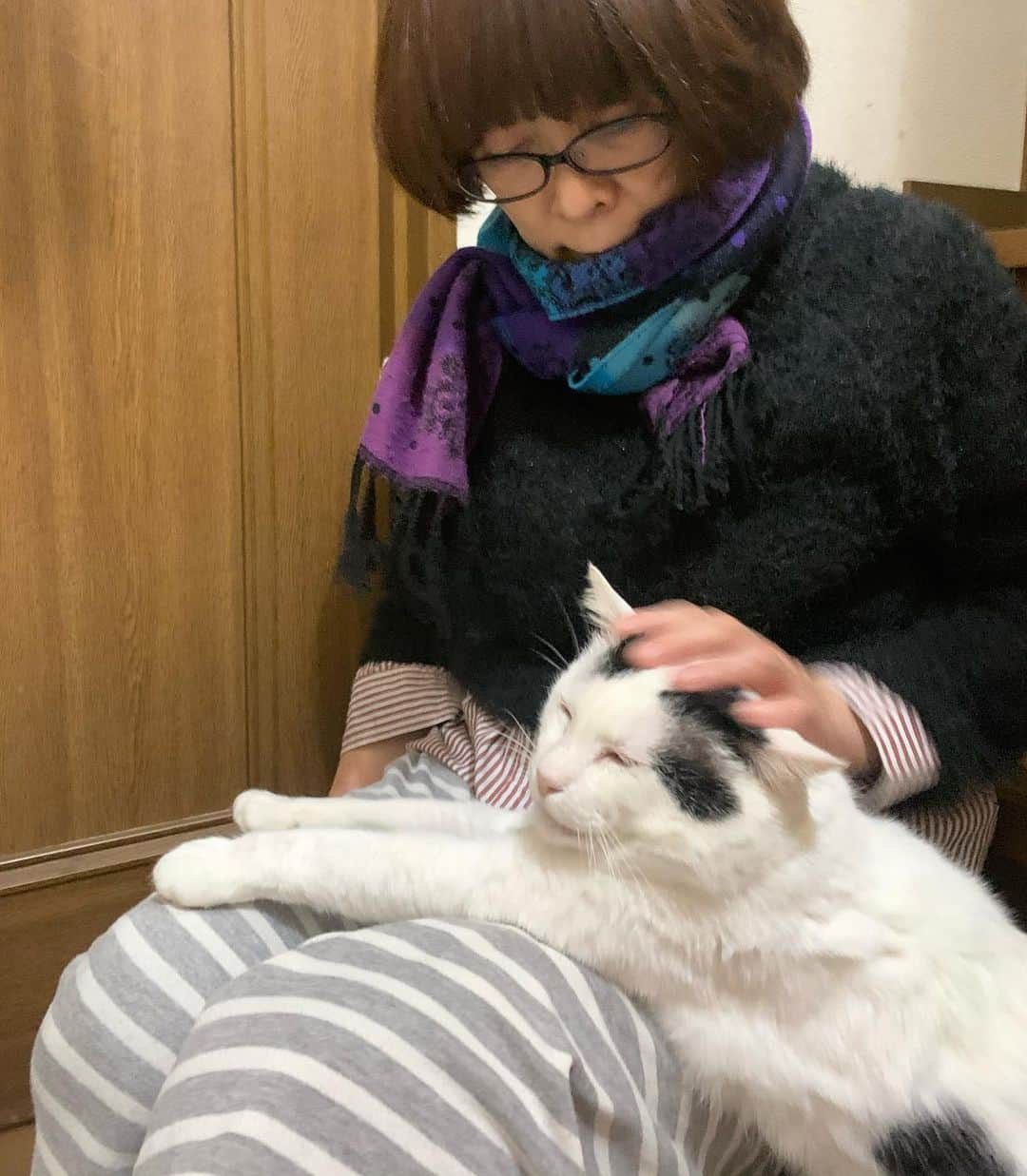 Kachimo Yoshimatsuのインスタグラム