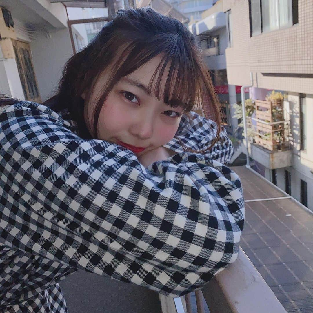 山之内優美さんのインスタグラム写真 - (山之内優美Instagram)「永遠の18歳に昨日なりました😊　 18歳って言われて舞い上がってツイートしましたww ありがとう！！  明日は横浜1000CLUBさんでライブです✨ 絶対楽しいので3公演来て欲しいです😊  #アイドル #わんちゃんいやほい！ #majide #まじで草 #原宿 #原宿系アイドル」2月22日 16時57分 - _yuuupochan