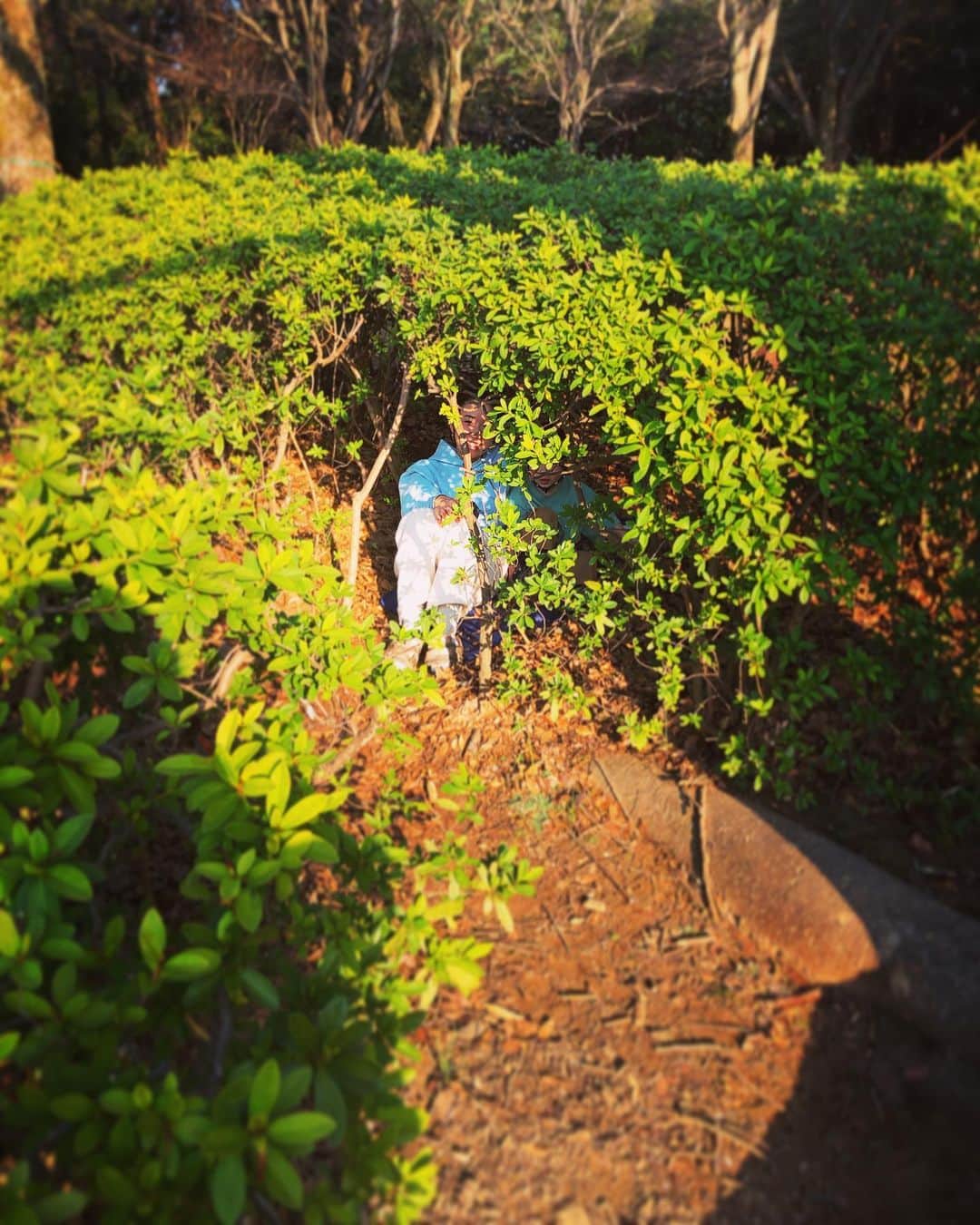あばれる君のインスタグラム：「ウトウトしてる隙に隠れてしまいました‼︎見つけ出して美味しいご飯食べて帰りました‼︎」