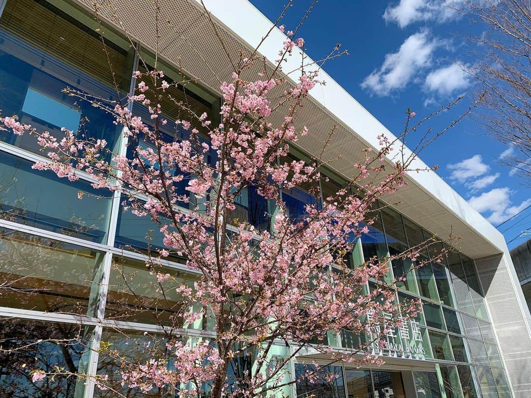 柏の葉 T-SITEのグルメインスタ