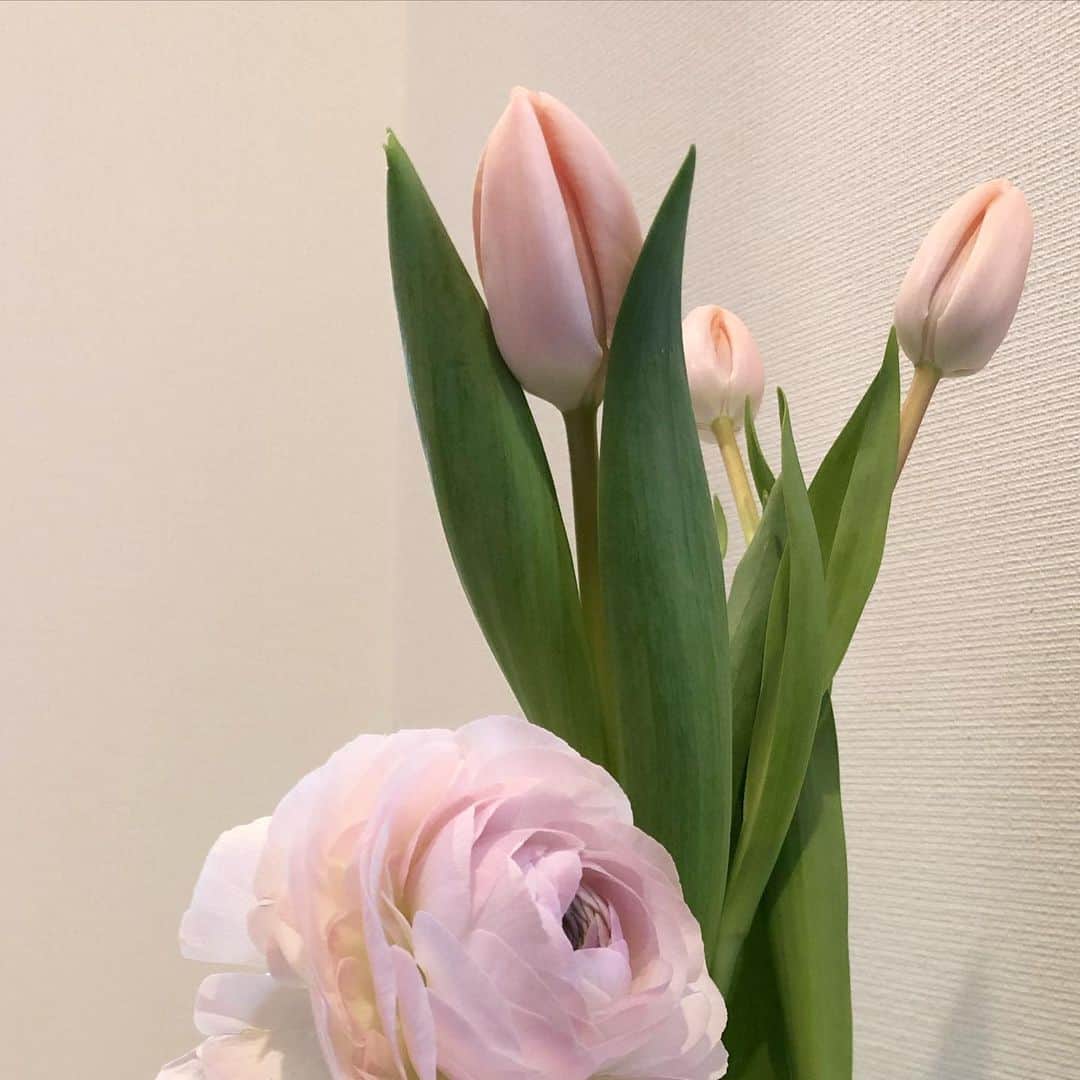 倉中るなさんのインスタグラム写真 - (倉中るなInstagram)「2月のお花。  いっちばん好きな ラナンキュラスとチューリップの 時期がやってきた~ 🌷 🌷」2月22日 16時59分 - runa_kuranaka