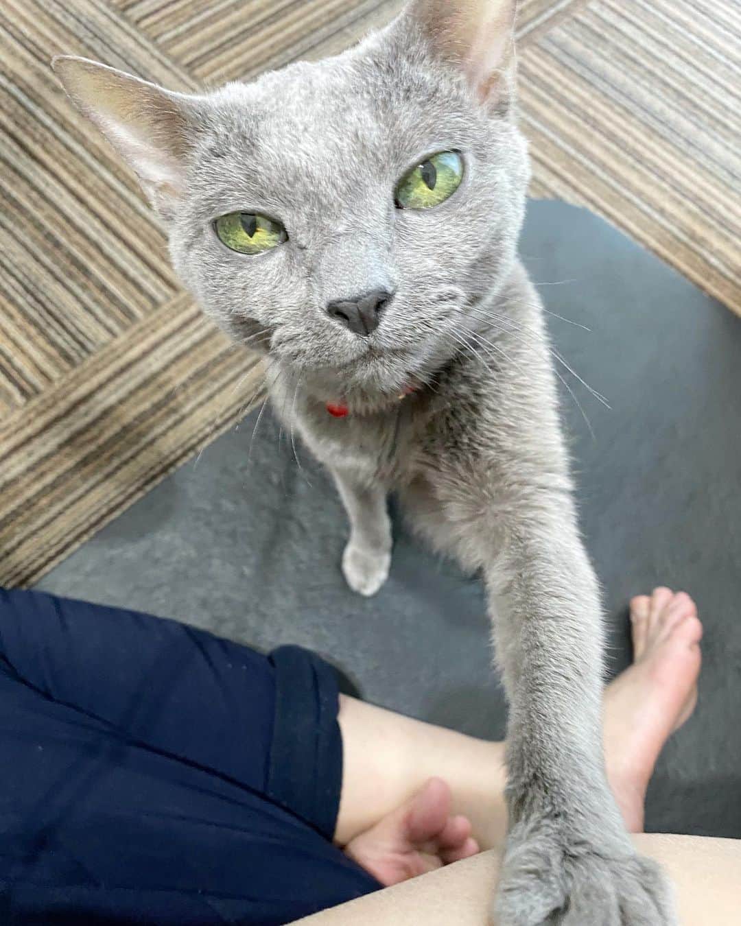 来栖あつこのインスタグラム