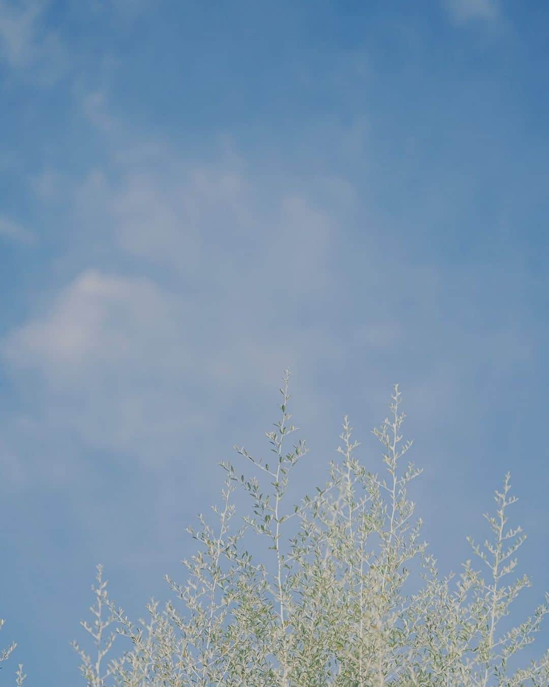 北野クラブ　ソラさんのインスタグラム写真 - (北野クラブ　ソラInstagram)「. . 優しい緑を感じられる季節が近づいてきましたね🌿 . 北野の高台にあるsolaだからこそ感じられる景色・空気をぜひ感じにいらしてください☺️ .」2月22日 17時17分 - kitanoclubsola