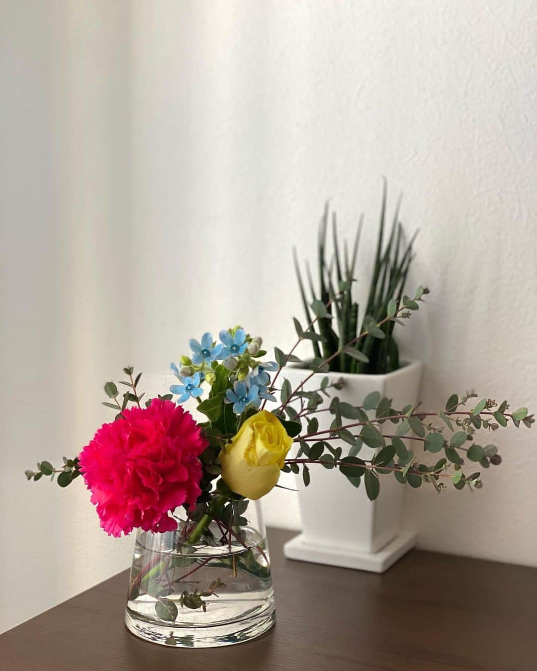 eiko kagamiさんのインスタグラム写真 - (eiko kagamiInstagram)「. . 可愛すぎる、お花のお届け定期便 @medelu_official 🌼 . ピンポーン、とお花が届くってすごく素敵☺️ 自分で選ぶ楽しみとはまた違う、箱を開けるときのワクワク感。 そんなお楽しみを、今年始めるのもいいな🌿 . 100年近く続く会社が手掛けていらっしゃるのも納得の魅力です。  箱に花言葉があるのも嬉しい♡ . . クーポンコード頂きました❤︎ 気になられた方は是非お使いください🥰↓↓ 【20NZ】 . . . . . #medelu #flower #お花のある暮らし #お花の定期便  #お花#ブーケ #私は届いたブーケを #二つに分けました💐 #とりあえず #集団美はぐぐりました」2月22日 17時18分 - eikooo7