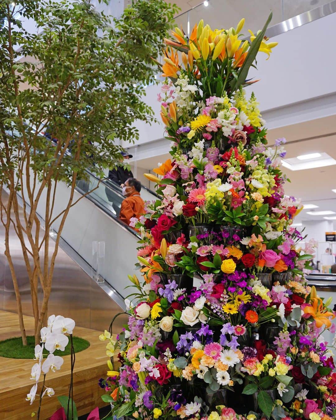 平塚市のグルメインスタ