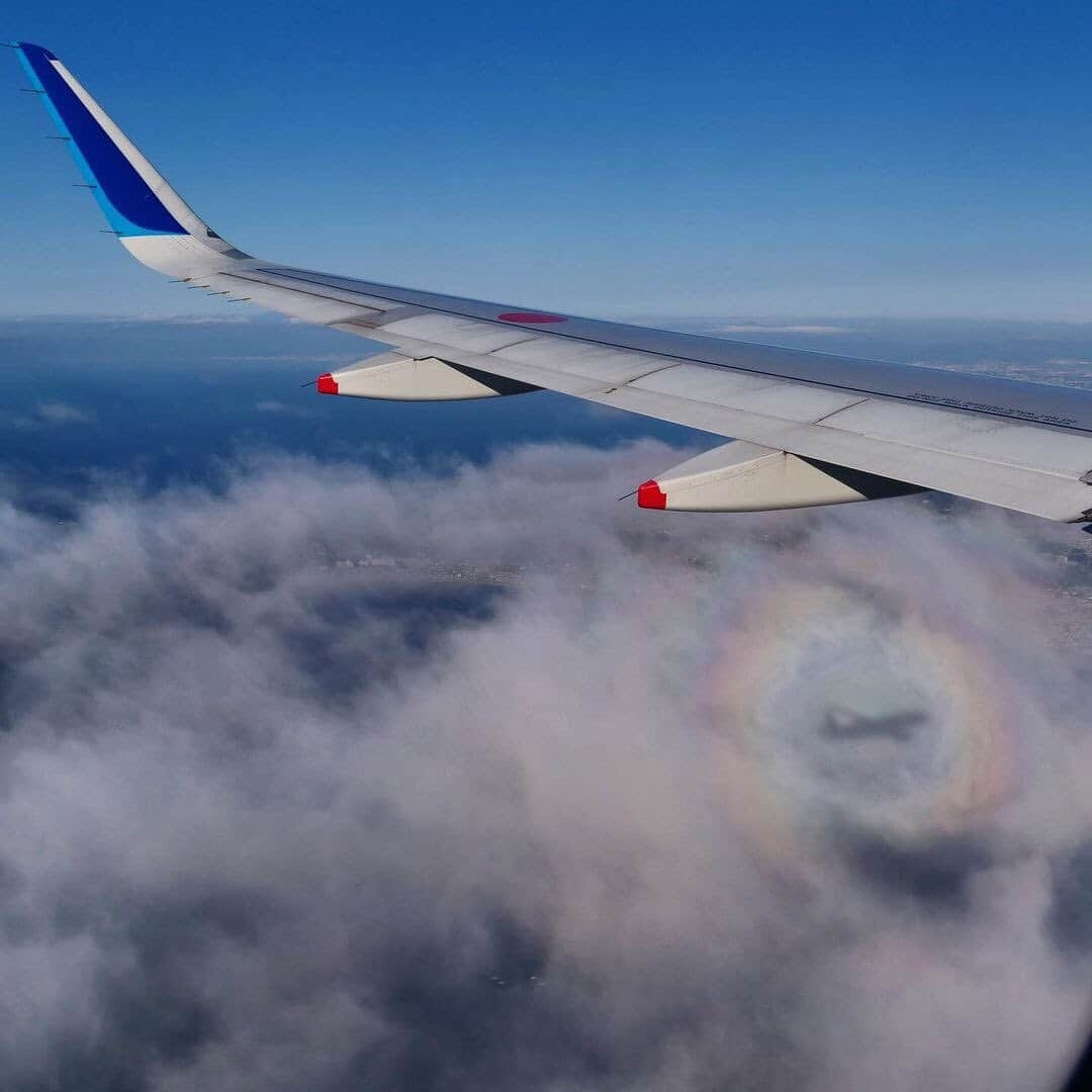 ANAさんのインスタグラム写真 - (ANAInstagram)「虹色の輪の中に🌈✈️﻿ （Photo：@aomomo_711）﻿ ﻿ #グローリー #ブロッケン現象 #機影 #発見 #虹色 #レインボー #虹色リング #主翼 #ウィングレット #青い翼 #空 #雲 #上空 #雲の上 #機窓からの景色 #機窓  #ソラマニ_マドカラ #airplane #winglet #rainbow #sky #clouds #brockenspectre #window #anaairplane #anablue #ana_jp ﻿ ﻿ 機窓からの風景は「#ソラマニ_マドカラ」を付けて投稿してね📷インスタやANAの各メディアでご紹介していきます✈️」2月22日 17時30分 - ana.japan