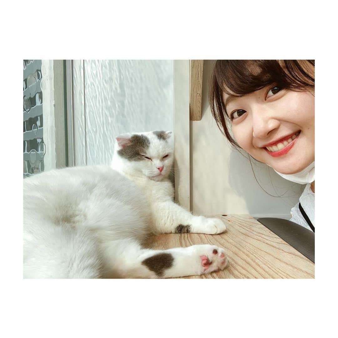 佐竹明咲美さんのインスタグラム写真 - (佐竹明咲美Instagram)「. きょう2月22日は 猫の日なんだね🐱  #いつかの思い出 #落ち着いたらまた会いにいきたい🐈 #犬であれ猫であれ #肉球はとてもいとおしい」2月22日 17時26分 - asami_satake