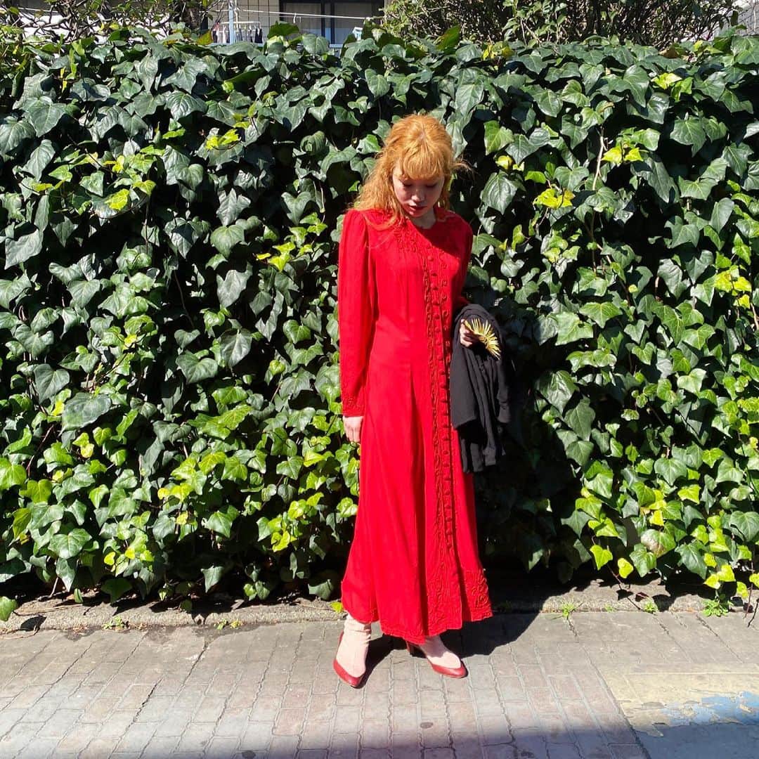 PUNK CAKEさんのインスタグラム写真 - (PUNK CAKEInstagram)「•back sun motif double buton jacket •red embroidery dress【SOLD】  #punkcake  #vintage #vintageclothing  #80sfashion  #古着 #古着コーデ  #古着女子 #レディース古着　 #原宿 #harajuku  #harajukufashion  #原宿古着屋 #東京古着屋  #古着屋巡り #古着通販」2月22日 17時36分 - punk_cake