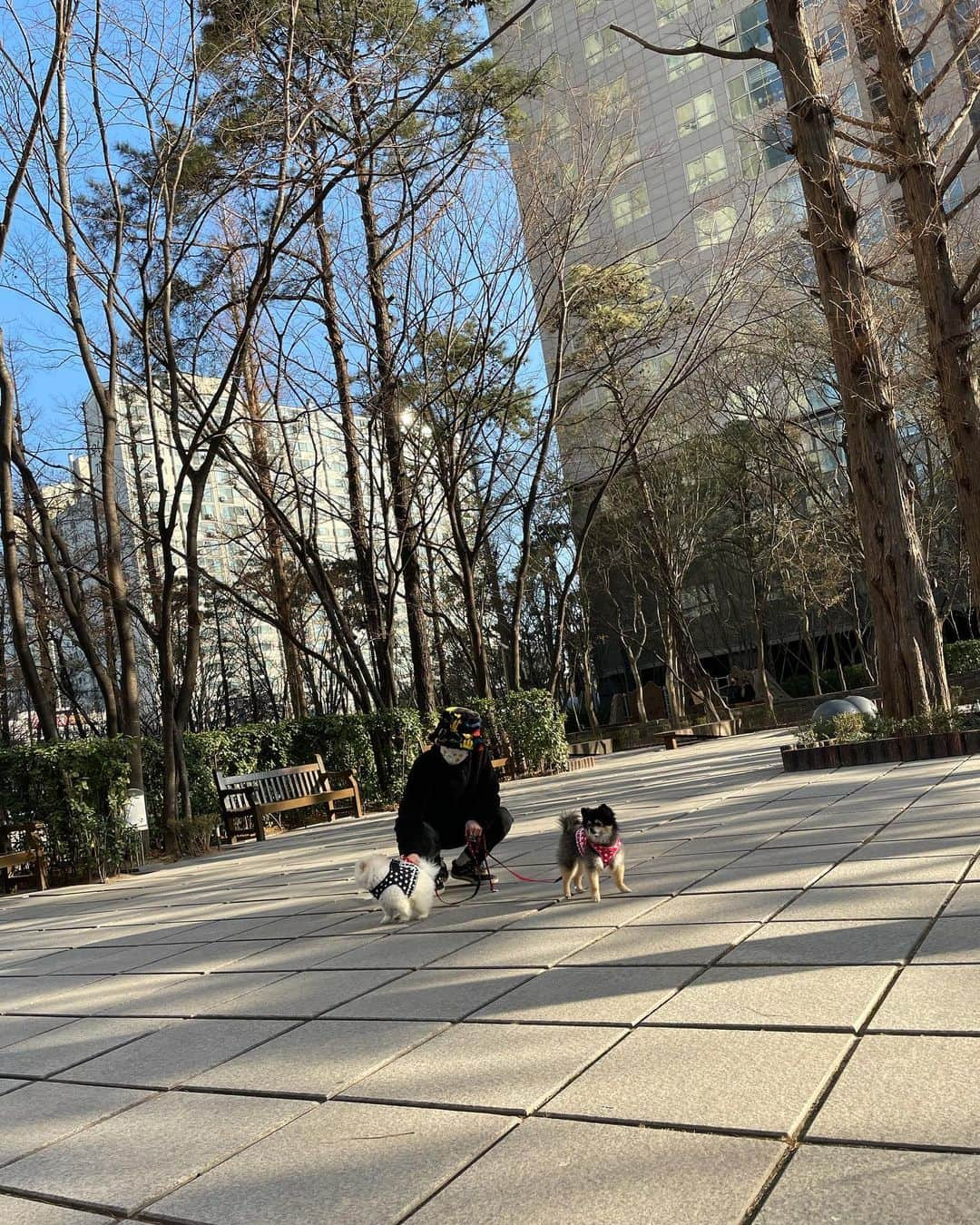 イェソンさんのインスタグラム写真 - (イェソンInstagram)「햇살맞이 🐾🐾」2月22日 17時41分 - yesung1106