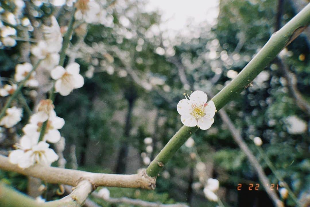 小此木まりのインスタグラム