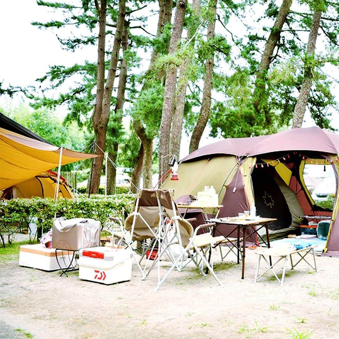 キャンプ情報サイト［ランタン］さんのインスタグラム写真 - (キャンプ情報サイト［ランタン］Instagram)「／ 「薪割りはオレにまかせろ！」 キャンプサイトが育てるわんぱくキッズ！ ＼ いろんなキャンパーのキャンプスタイルを現地取材と一般キャンパーからの投稿で数多く掲載してます。 . . 詳しくは @lantern.camp webサイトをご覧ください . . #camp #camping #outdoor #travel #trip #lantern_smile #nature #キャンプ #キャンプ用品 #キャンプギア #アウトドア #テント #自然 #旅行 #キャンプ初心者 #キャンプ好きな人と繋がりたい #アウトドア好きな人と繋がりたい #camper #外遊び #ファミリーキャンプ #ファミキャン #村の鍛冶屋 #マイアミ浜オートキャンプ場 #ellisse #エリッゼ #手斧 #薪割り#キャンプレイアウト」2月22日 18時00分 - lantern.camp