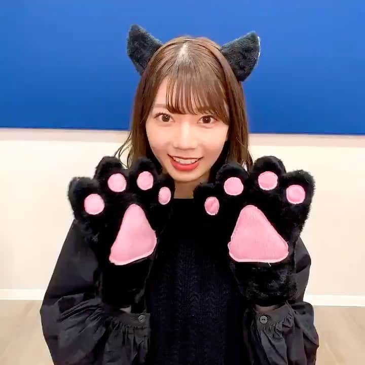 高本彩花のインスタグラム：「⊿ #猫の日  ⊿ ⊿  #勝たんしか高本彩花ちゃん #高本彩花 #おたけ #日向坂46  #日向坂46好きな人と繋がりたい  #日向坂46推し #ayakatalk #あやちぇり #あやちぇりぐらむ #あやちー #高本彩花推しと繋がりたい #高本彩花推し #高本彩花好きな人と繋がりたい #アイドル #かわいい #美人 #美少女 #美女」