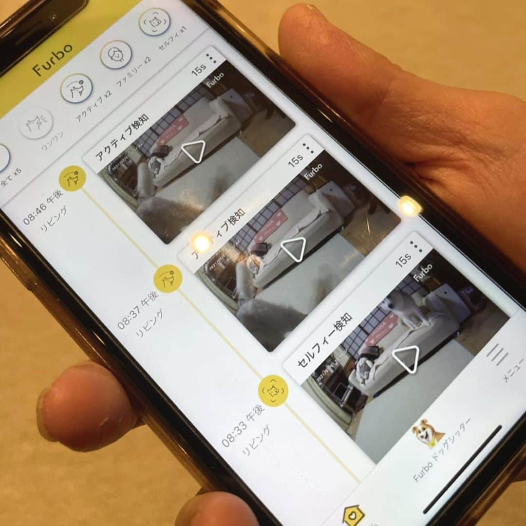 Furbo ドッグカメラさんのインスタグラム写真 - (Furbo ドッグカメラInstagram)「お留守番安心アイテムのドッグカメラ「Furbo」が我が家にやって来ました。⁠⁠ ⁠⁠ お留守番の時って気になる事が沢山ですよね。そんな時はこのFurboがあれば安心。綺麗な画像で愛犬の様子をいつでもチェック出来ちゃいます。⁠⁠ ⁠⁠ もちろん、お留守番以外にも使い道はいろいろ。例えば、食事の支度中にキッチンにスマホを置いてリビングの様子をチェック。など。どこにカメラを置くのも自由です。⁠⁠ ⁠⁠ そして、カメラだけではなく、オヤツをセットしこちらからの遠隔操作でオヤツが飛び出す機能も。タイミングを見てオヤツ投下！いろちゃんもビックリ！ヤッター！（動画参照）⁠⁠ ⁠⁠ その他にもこちらから声掛け出来たり、ワンワン吠えるとお知らせが届いたりと、カメラ以外にも便利で安心な機能が沢山です。⁠⁠ ⁠⁠ * * *⁠⁠ Repost from @mika_leojuri168 💛⁠⁠ ⁠⁠ ⁠⁠ ⁠⁠ ⁠⁠ ⁠⁠ #ファーボ ⁠⁠ #Furbo⁠⁠ #ドッグカメラ ⁠⁠ ⁠⁠ #シベリアンハスキー#siberianhusky #husky #huskygram #huskysofinstagram #instahusky #犬スタグラム #犬のいる暮らし #犬のいる生活 #犬好きな人と繋がりたい #愛犬との暮らし #いぬすたぐらむ #いぬ部 #犬バカ部  #いぬバカ部 #わんこ部 #癒しわんこ #今日のワンコ #わんこのいる暮らし #わんこは家族 #ワンちゃん #わんこ大好き」2月22日 18時04分 - furbo_japan
