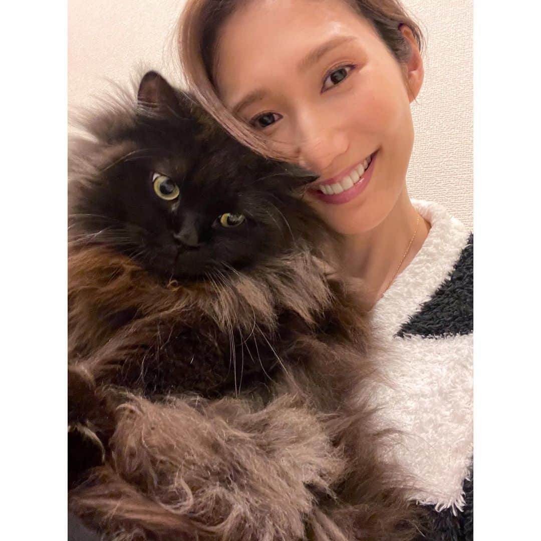 春輝さんのインスタグラム写真 - (春輝Instagram)「我が子スーパー可愛いって言う日❤️  #猫の日 #バレンティン#Balentien #メインクーン#MaineCoon#猫#cat#ねこ部 #春輝#haruki」2月22日 18時12分 - haruki_o427