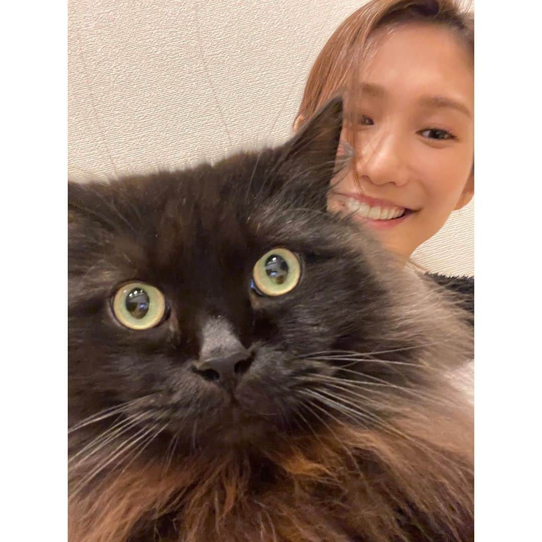 春輝のインスタグラム：「我が子スーパー可愛いって言う日❤️  #猫の日 #バレンティン#Balentien #メインクーン#MaineCoon#猫#cat#ねこ部 #春輝#haruki」