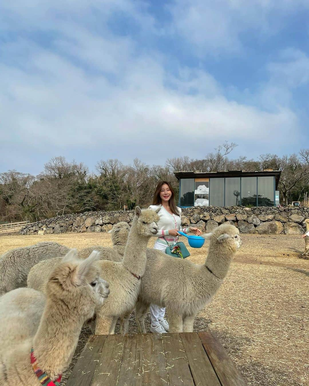 ハン・ジウンさんのインスタグラム写真 - (ハン・ジウンInstagram)「- 쁘로빼셔널알파카찡🦙🦙🦙 뽀숑뽀숑긔야워듀금🙈🌈💚」2月22日 18時18分 - jieun_han