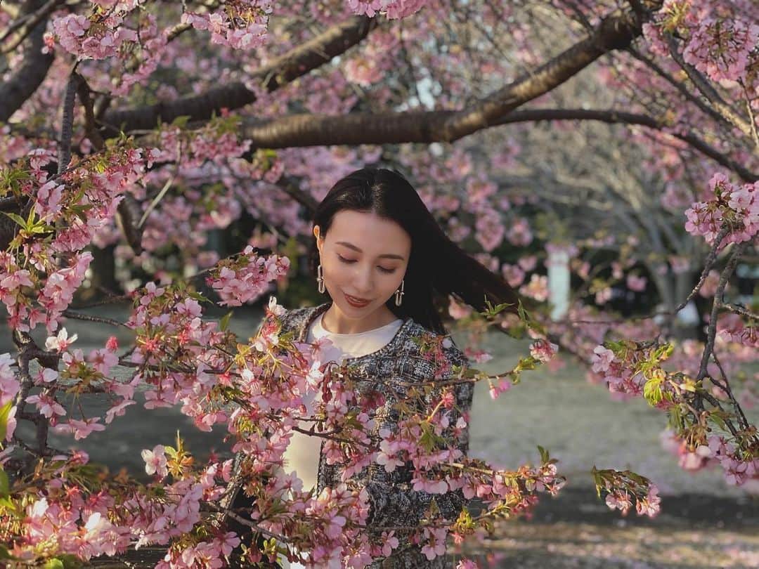 May J.さんのインスタグラム写真 - (May J.Instagram)「Spring has already come🌸  #Spring #河津桜 #cherryblossom  #桜」2月22日 18時32分 - mayjamileh