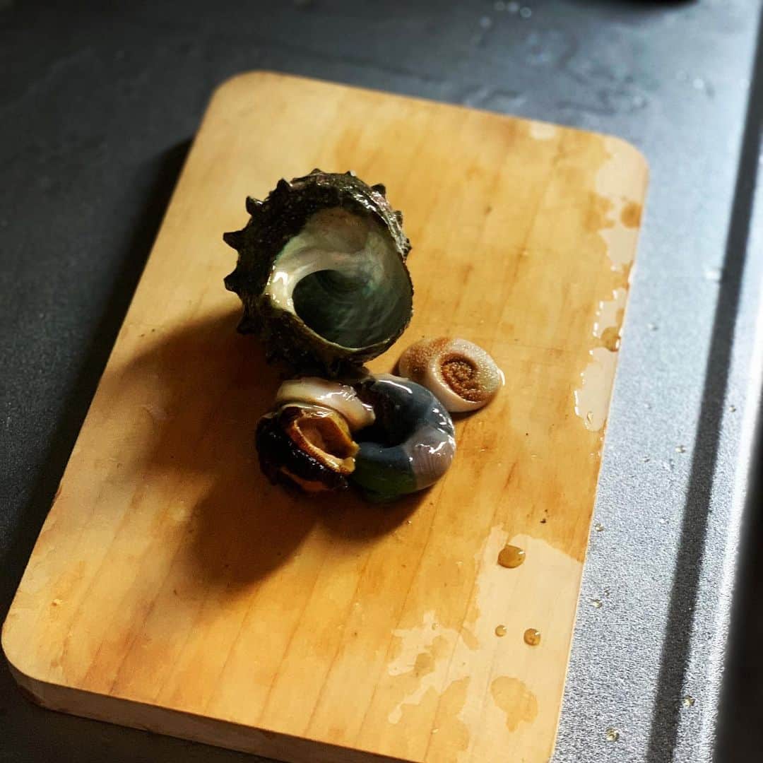 shin -SAKE instructor-さんのインスタグラム写真 - (shin -SAKE instructor-Instagram)「さざえ壷焼き  まず 綺麗に殻から外れると、 気持ちいい。湯引きするとこんなにキレイに。  肝と身と椎茸をキザんで殻にもどして、出汁をかけながら直火で沸騰するまでまつ。  身と肝をたべたあと、 殻に残った出汁をお猪口でのみます。  はい 日本酒しか勝たん。  さざえ壷焼きはインパクトの割に、 取りにくいし、そんなにって感じやったけど こうやって丁寧に処理して工夫すると、 驚くほど上品やな。  #さざえ #壺焼き #料理写真 #出汁 #椎茸 #肝 #foodstyling #生では綺麗にはずれない #日本酒 #しか勝たん」2月22日 18時45分 - shim_8k