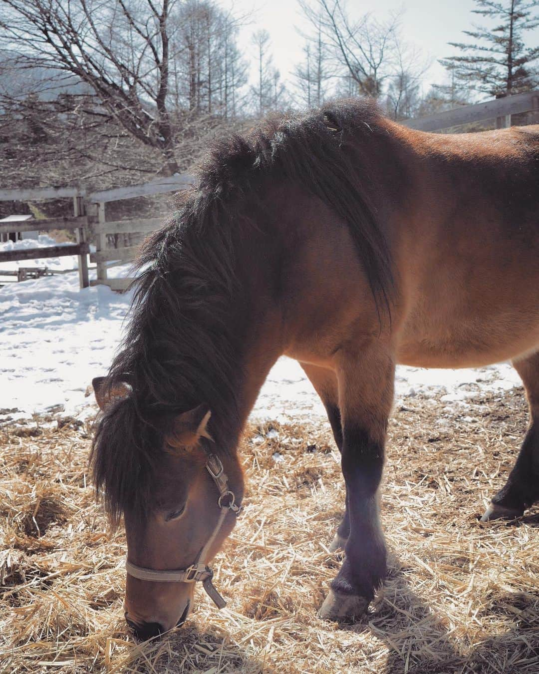 石川直樹のインスタグラム