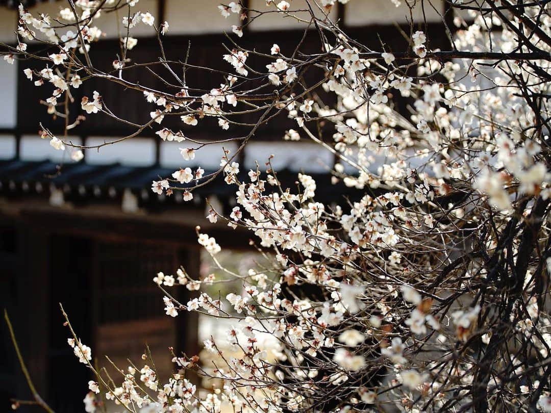 иαяα & куσтσ νιятυαℓ ωσяѕhιρのインスタグラム