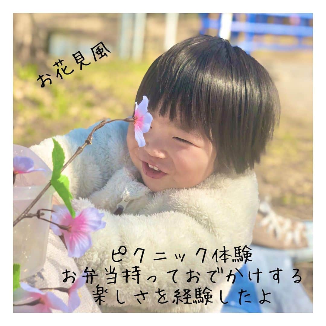 mamamizu.32のインスタグラム：「最近2🌸🌸🌸﻿ ﻿ ﻿ 春✿...*ﾟ﻿ 最近暖かくて最高ですね𓂃 𓈒𓏸﻿ ﻿ ﻿ ピクニックはコロナ禍でも﻿ 距離を持って楽しめるのでいいですね🌷﻿ ﻿ ﻿ ﻿ ピクニックって何？﻿ お弁当持って出かけるって何？﻿ という感じだったゆずちゃんでしたが﻿ ピクニックを習得した日でした♡♡﻿ ﻿ ﻿ ﻿ ﻿ ﻿ ﻿ ﻿ #ピクニック﻿ #🌸﻿ #お花見したい」