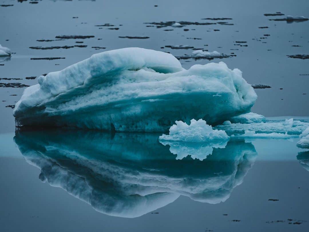 ナショナルジオグラフィックさんのインスタグラム写真 - (ナショナルジオグラフィックInstagram)「Photos by @renan_ozturk / Slices of life, breathing ice, dancing water, ambulating around the Arctic midnight sun. Follow @renan_ozturk for more from the far north. #actonclimate #turningthetide」2月23日 4時37分 - natgeo