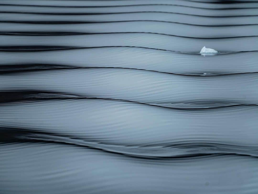 ナショナルジオグラフィックさんのインスタグラム写真 - (ナショナルジオグラフィックInstagram)「Photos by @renan_ozturk / Slices of life, breathing ice, dancing water, ambulating around the Arctic midnight sun. Follow @renan_ozturk for more from the far north. #actonclimate #turningthetide」2月23日 4時37分 - natgeo