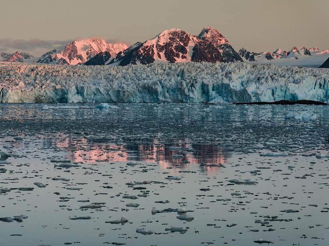 ナショナルジオグラフィックさんのインスタグラム写真 - (ナショナルジオグラフィックInstagram)「Photos by @renan_ozturk / Slices of life, breathing ice, dancing water, ambulating around the Arctic midnight sun. Follow @renan_ozturk for more from the far north. #actonclimate #turningthetide」2月23日 4時37分 - natgeo