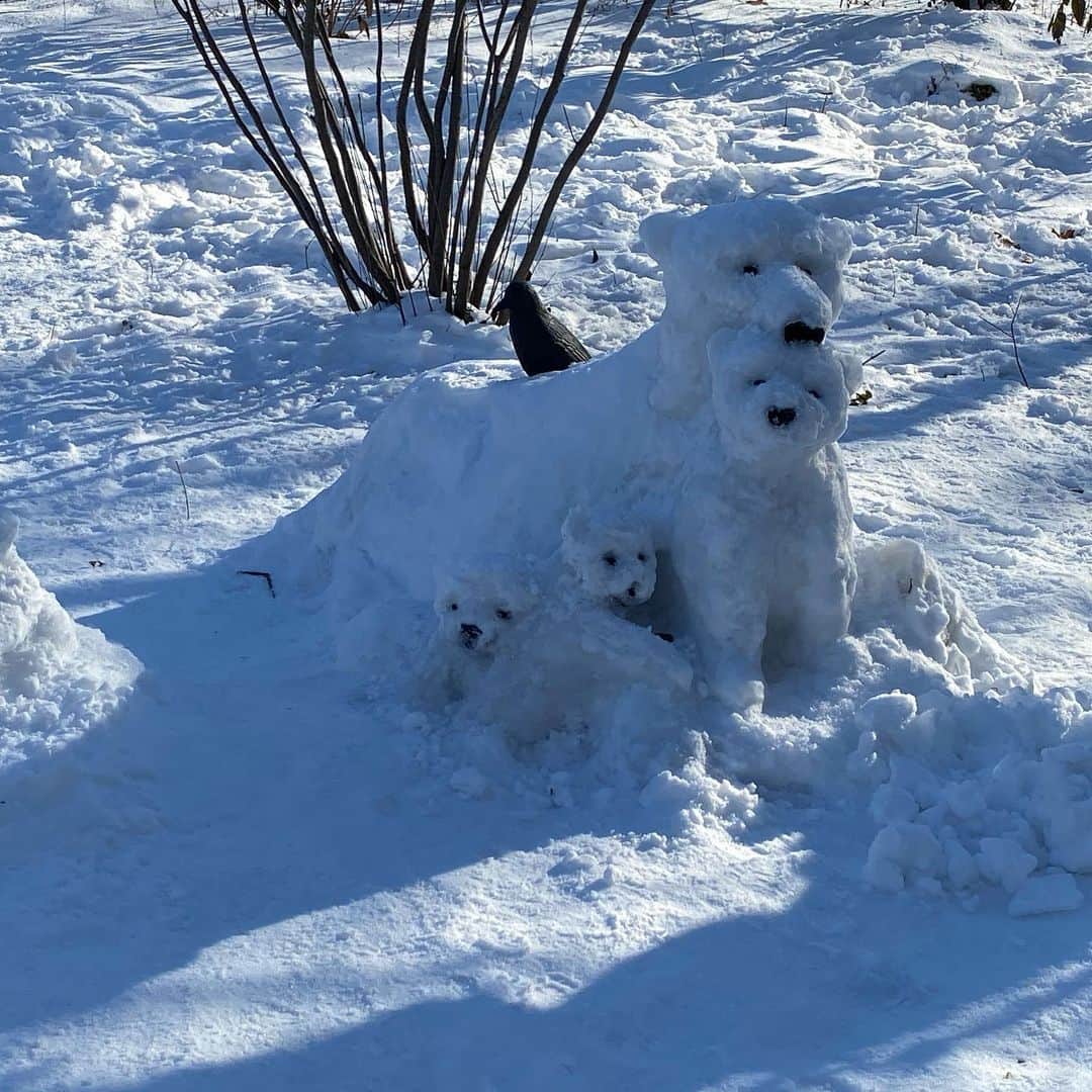 ラファエル・スバージさんのインスタグラム写真 - (ラファエル・スバージInstagram)「Insanely cute bear snow men! #winter in #newyork  @centralparknyc #mycentralpark」2月23日 4時51分 - raphaelsbarge