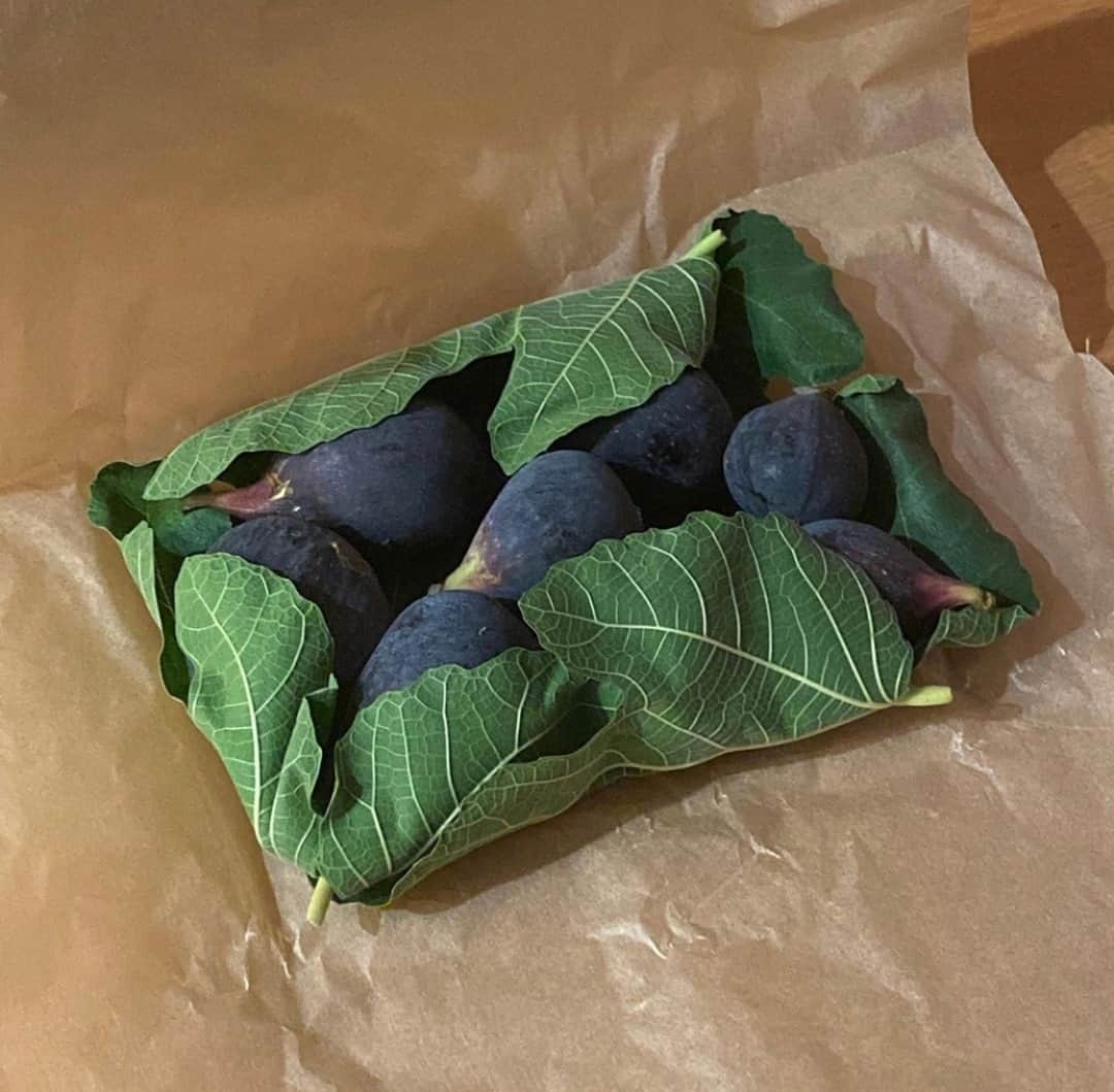 クレオベラのインスタグラム：「Afternoon snack, anyone? ⁠ via @v_q_z」