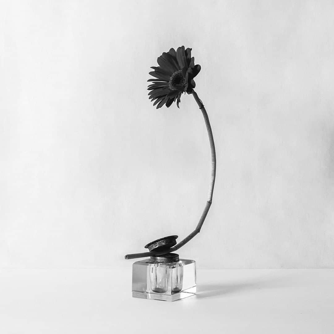 ミラショーンのインスタグラム：「Unusual balance. A series of imaginary organic ensemble. ⠀ ⠀ ⠀  #milaschon #organicensemble #blackandwhitephoto #bandw #balance #bandwflower」
