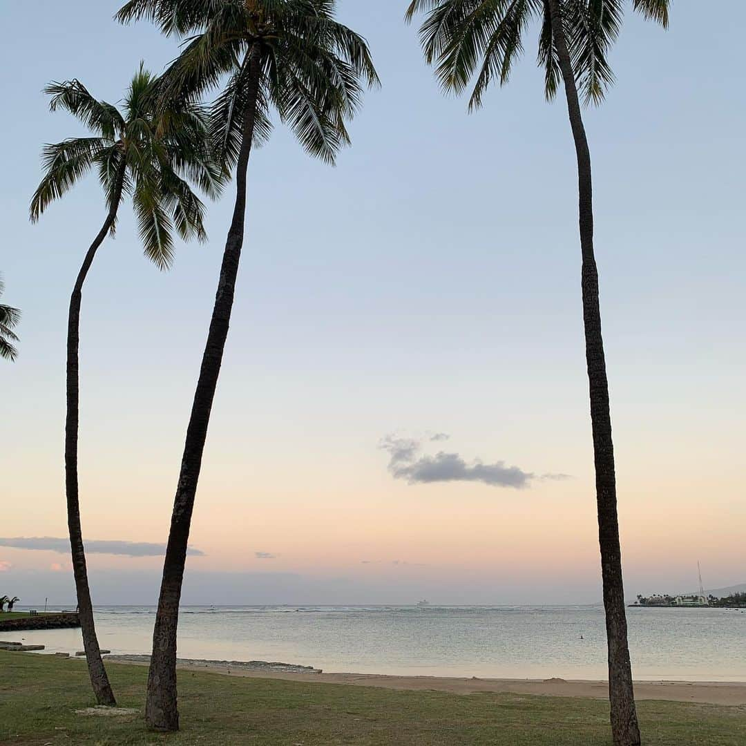 飯島寛子さんのインスタグラム写真 - (飯島寛子Instagram)「Good morning from Hawaii.  今日の御言葉  いつも喜んでいなさい。 絶えず祈りなさい。 すべての事について、感謝しなさい。 （1テサロニケ 5:16-18)  Be always  joyful,  pray at all times, be thankful in all circumstance. (1 Thessalonians 5:16-18)  アーメン  日々神さまの助けによって‥  #朝活　#ハワイライフ #アラモアナビーチ　#ヒルトンラグーン #ハワイをゆるジョグ」2月23日 5時14分 - hirokoiijima