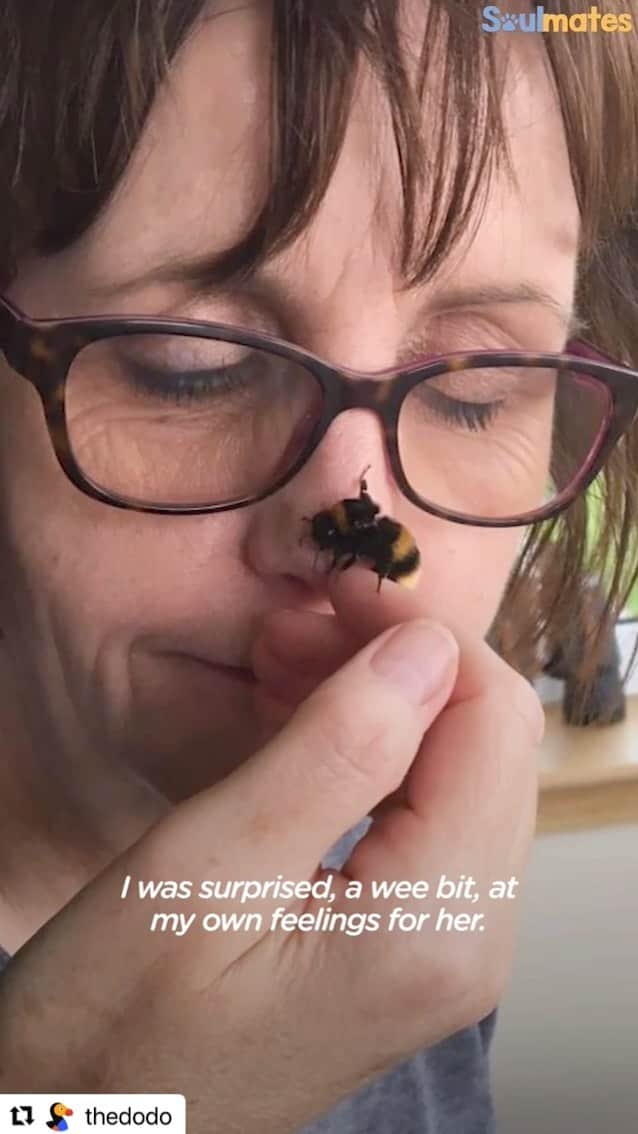 ブライス・ジョンソンのインスタグラム：「This video made my day, perhaps it will add to yours as well. This is the type of content I’m here for! #bekindtoanimals follow @thedodo for more great content!」