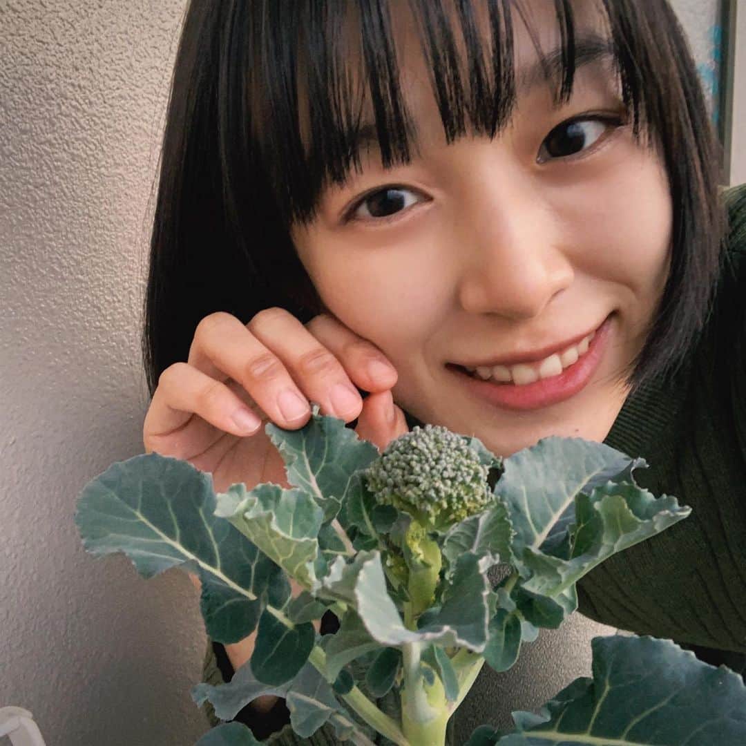 坂田莉咲のインスタグラム：「家庭菜園で育ててるブロッコリー🥦 どんどん大っきくなってきました 　#家庭菜園　#農業女子」