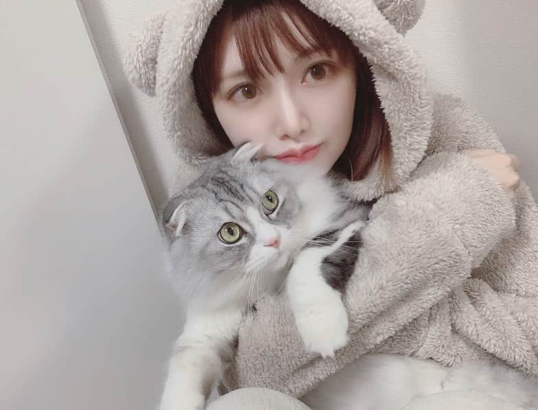 眞白桃々のインスタグラム：「きょうは #猫の日  らしい。 くらげくんと暮らし始めて3年、毎日しあわせをもらっている。 我が家に来てくれてありがとう。 精一杯しあわせにするからね。  世界でいちばん愛してるよ🐈  #ねこの日  #にゃんにゃんにゃんの日」