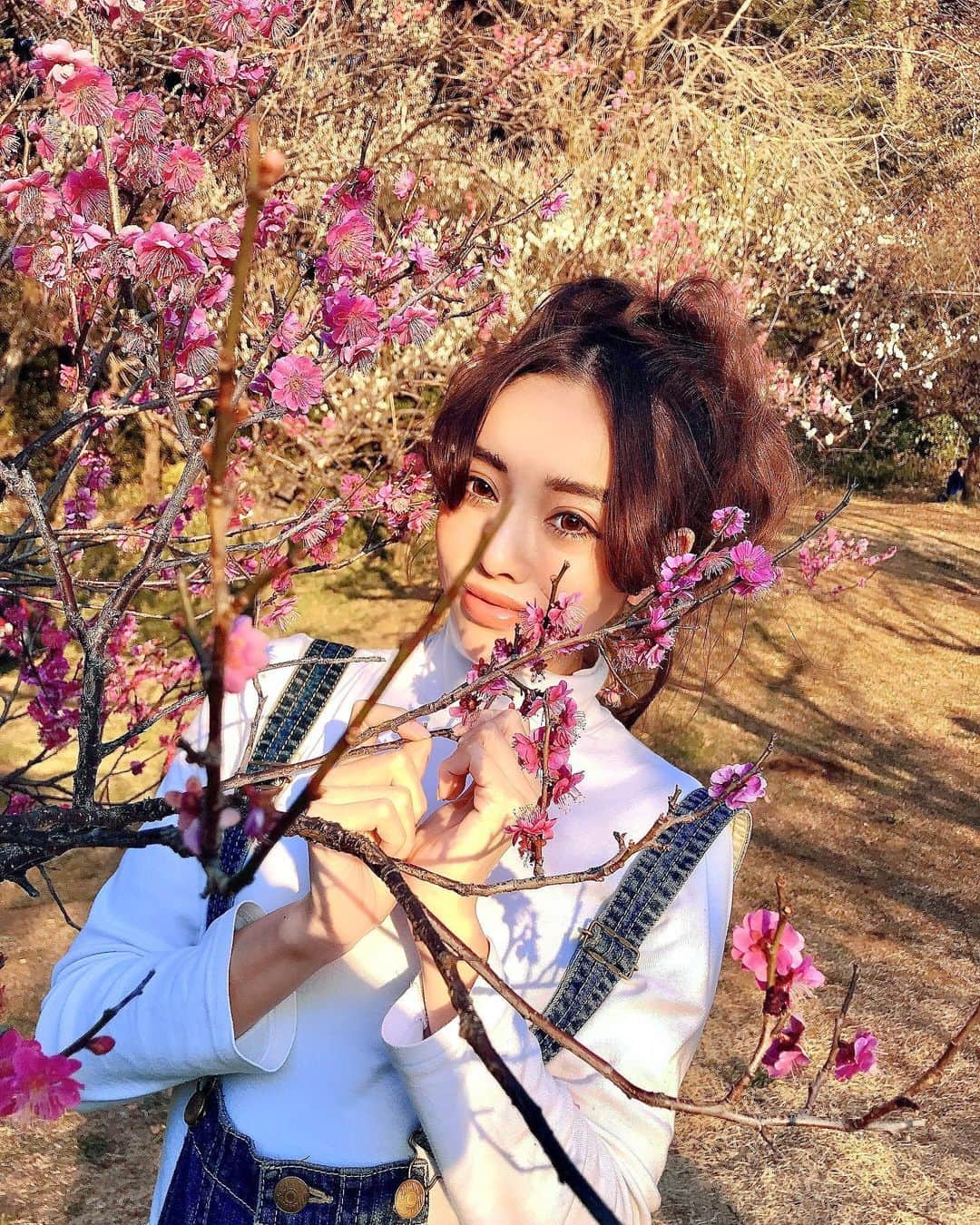 のインスタグラム：「🌸ポカポカ梅見ピクニックしーたよ🌸  #梅 #plumblossom #ピクニック #picnic #springflowers #springhascome #2月に20度超え」