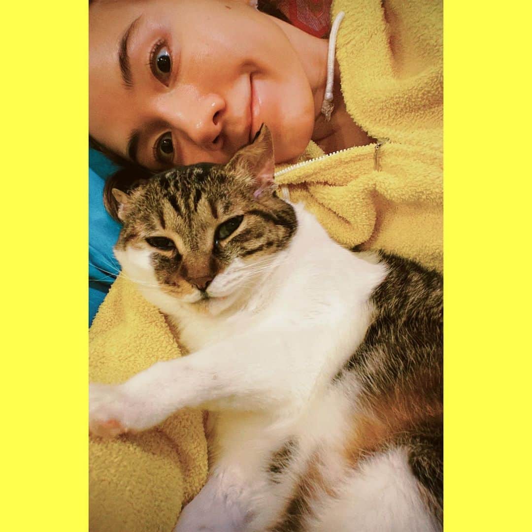 仲里依紗のインスタグラム：「ねこの日らしい🐈🌼🌼🌼  #2月22日 #飼い主は花粉で死にそう」